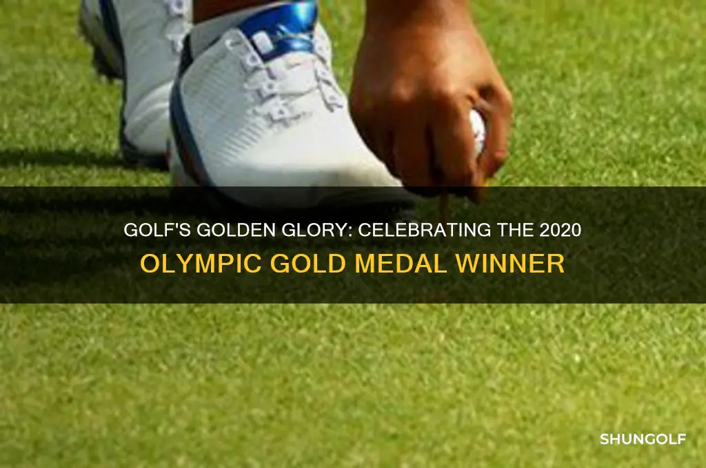 who won gold metal in golf