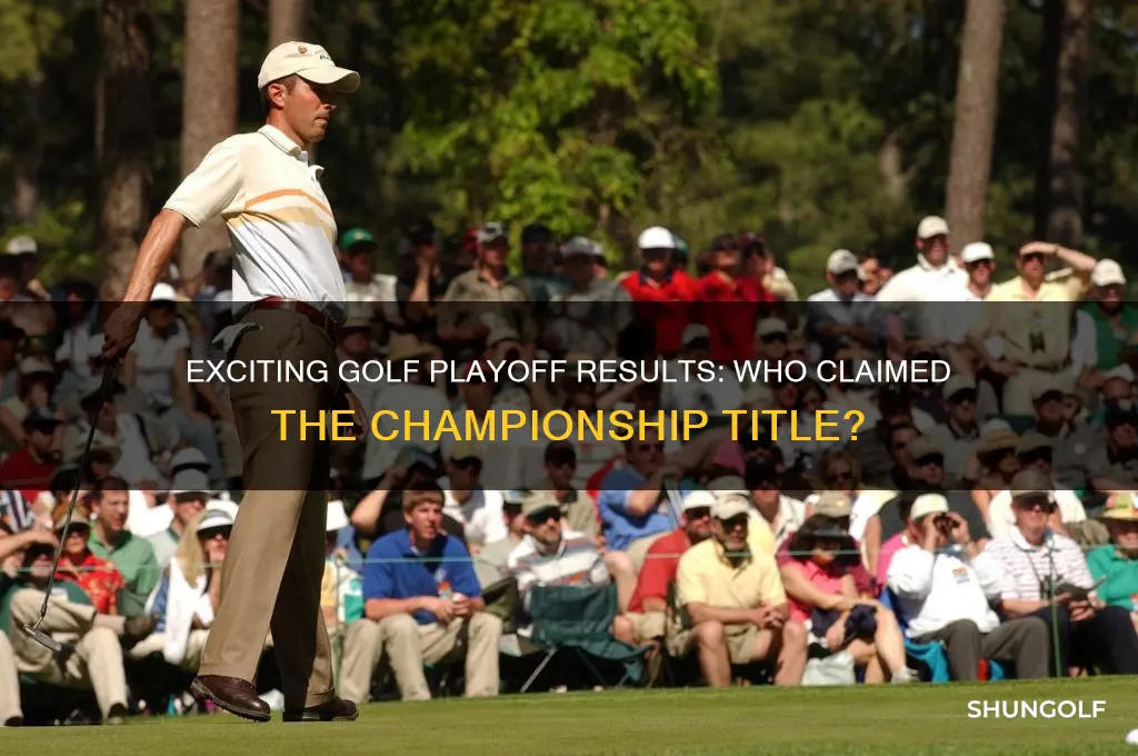 who won golf playoff