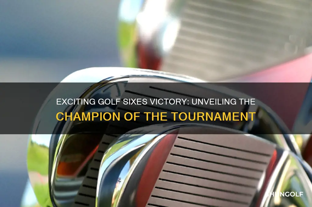 who won golf sixes