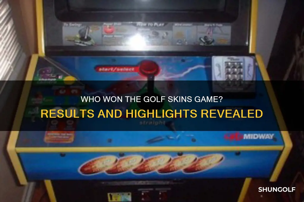 who won golf skins game