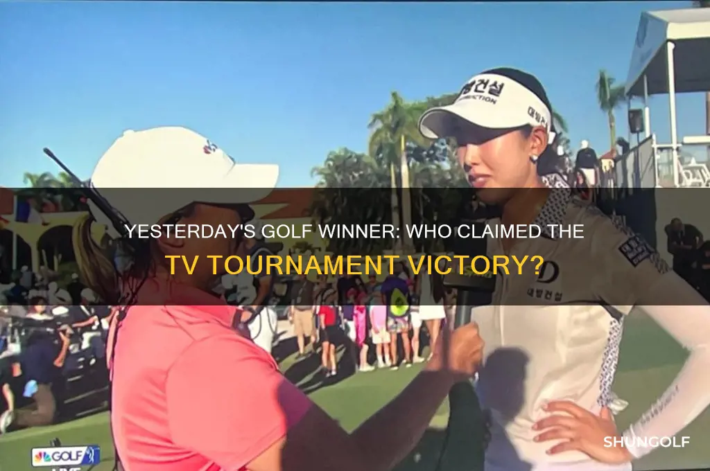 who won golf yesterday on tv