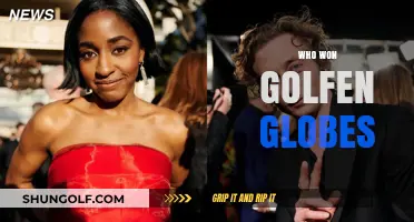 Golden Globes Winners: Celebrating Excellence in Film and Television