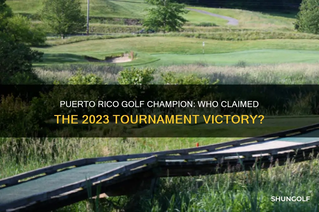 who won puerto rico golf