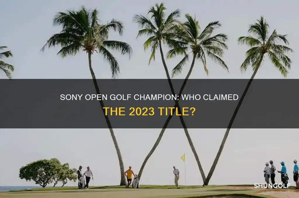 who won sony open golf