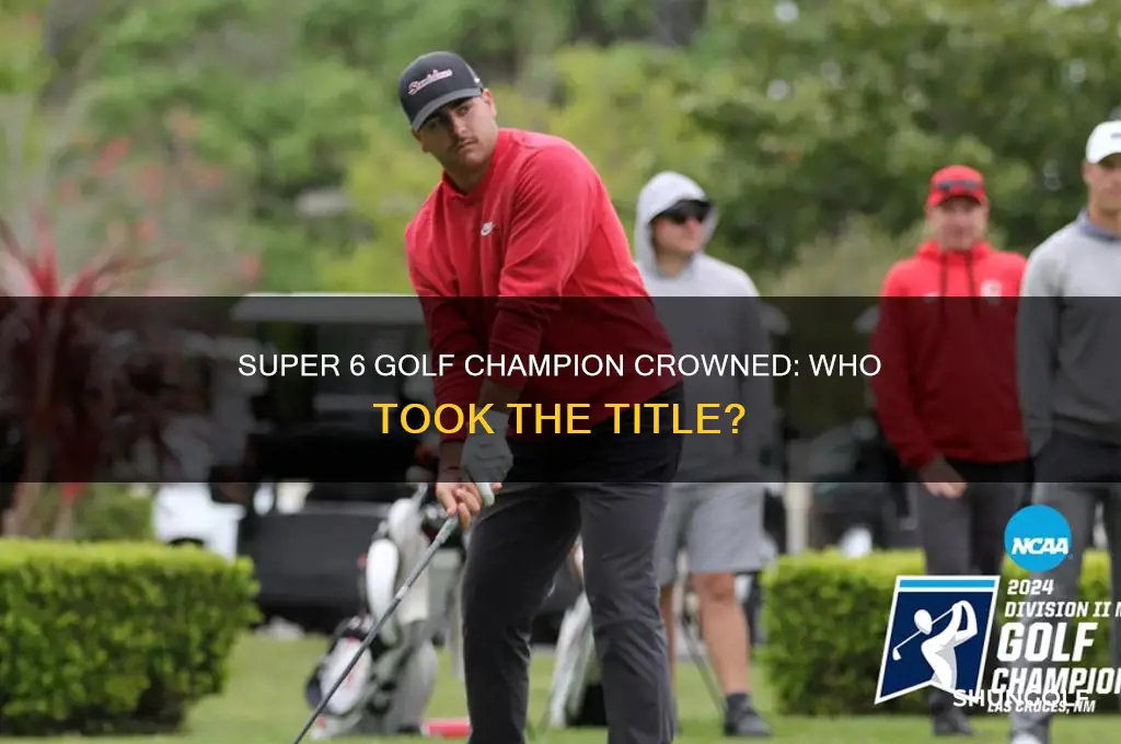 who won super 6 golf