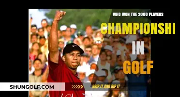 Tiger Woods Triumphs: 2000 Players Championship Victory Recap