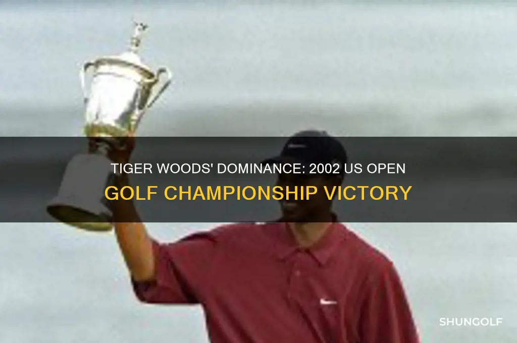 who won the 2002 us open for golf