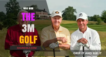 Unveiling the Champion: Who Claimed Victory at the 3M Golf Open?