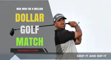 The Million Dollar Swing: Who Claimed the $9M Golf Victory?