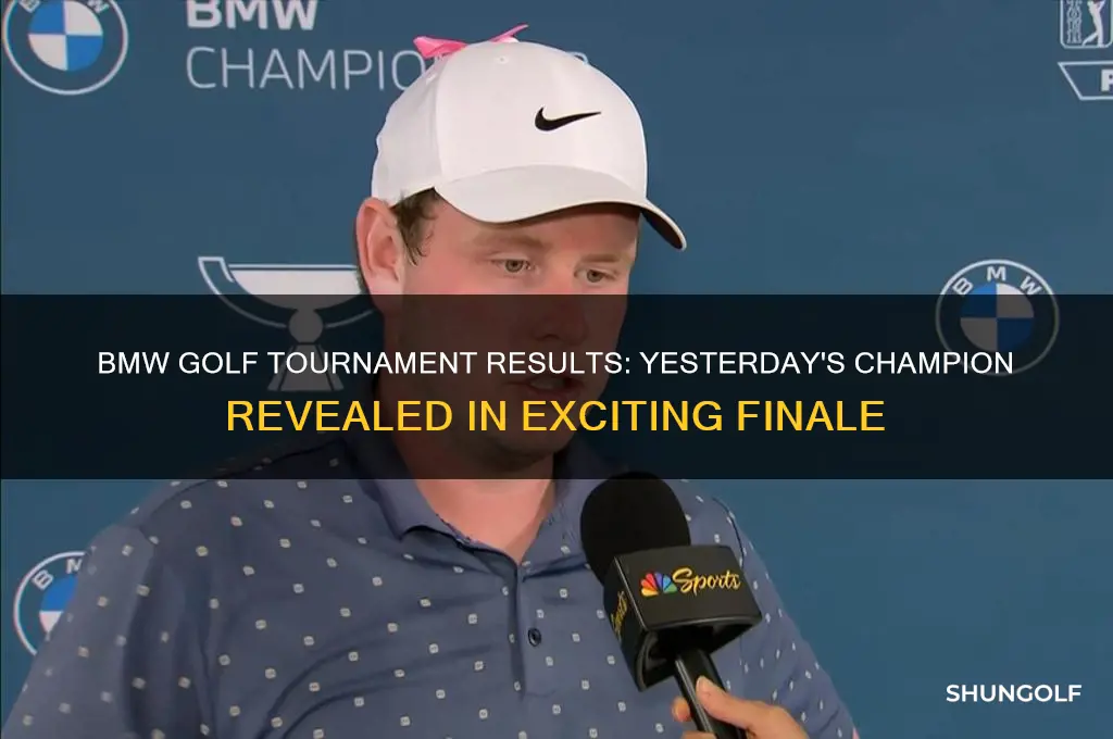 who won the bmw golf yesterday