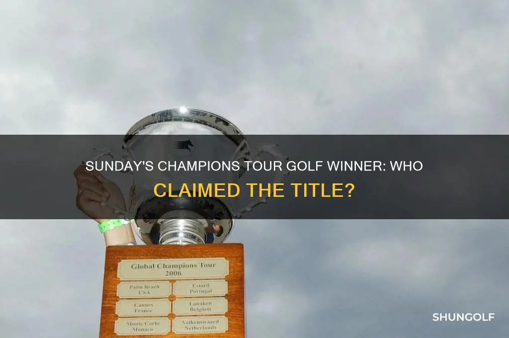 who won the champions tour golf game sundday