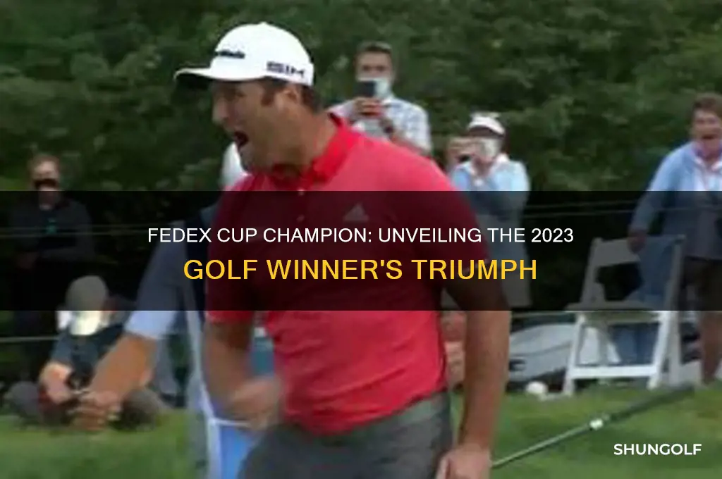 who won the fed ex cup in golf