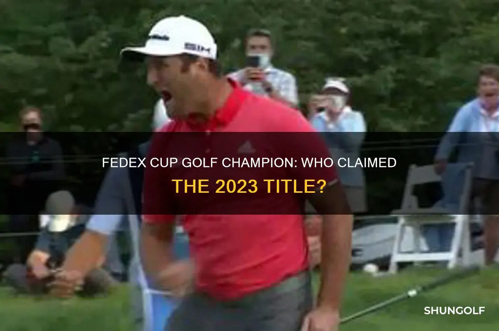 who won the fedex cup golf