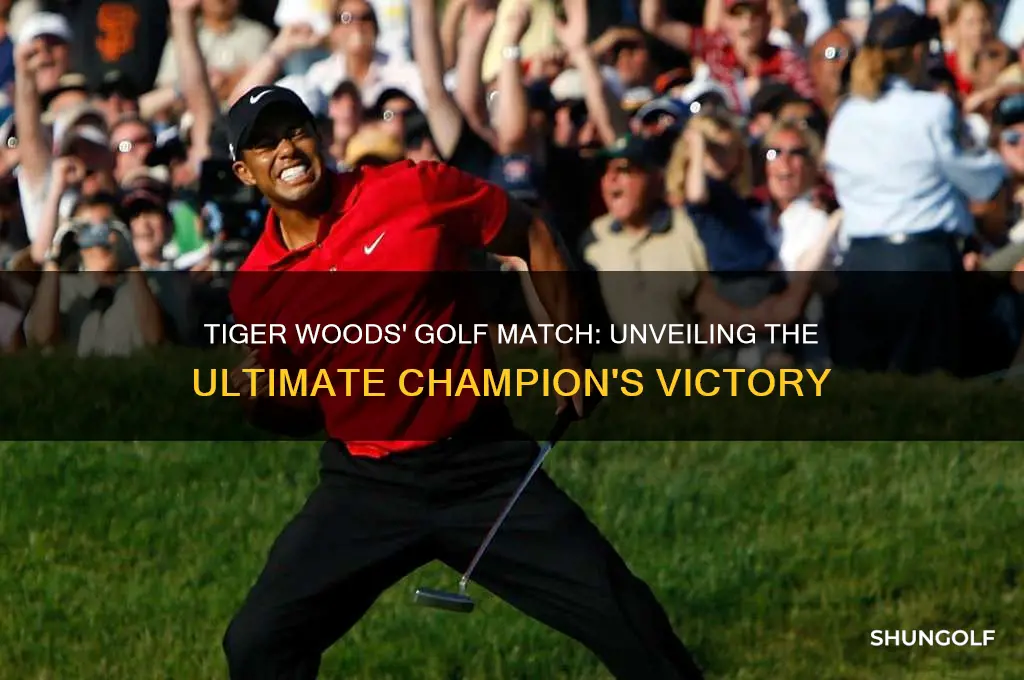 who won the golf game with tiger woods