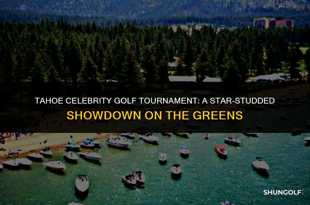 who won the tahoe celebrity golf tournament