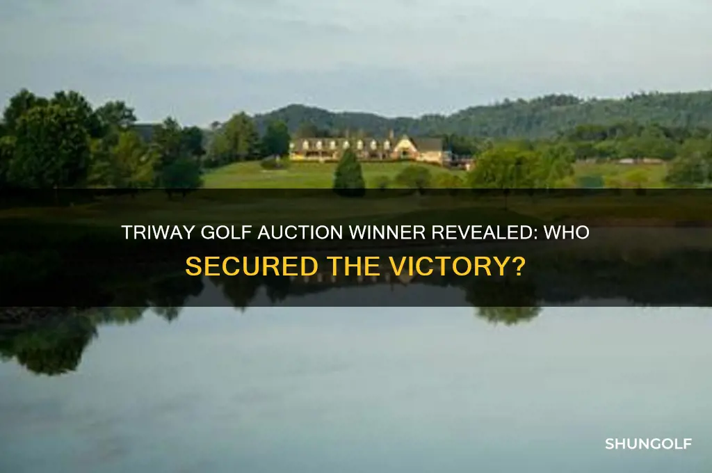 who won the triway golf auction