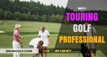 Exploring the Dominance of the Top Touring Golf Professional