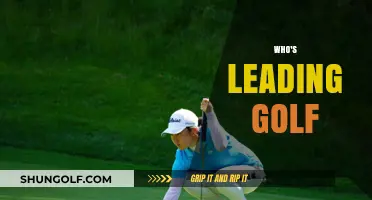 Who's Dominating the Fairways? Current Golf Leaders and Rising Stars