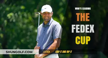FedEx Cup: Who's Leading the Pack?