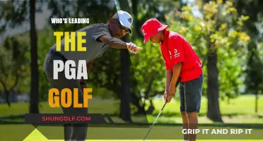 PGA Golf Leaders: Who's Dominating the Current Season?