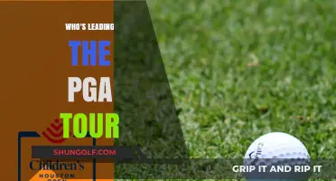 The PGA Tour's Current Leaders