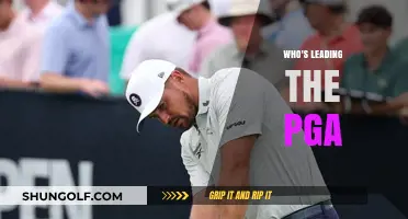 Who's Leading the Pack in the PGA?