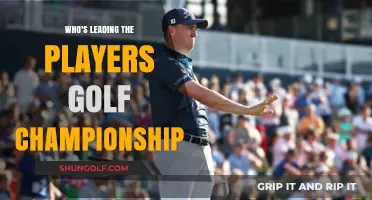 Who's Dominating the Players Championship Leaderboard This Year?