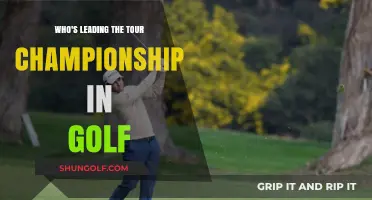 Tour Championship Golf Leaderboard: Who's Dominating the Race?