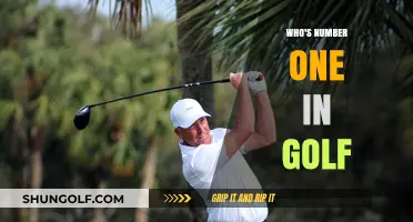 Golf's Top Contender: Who Reigns Supreme on the Greens?