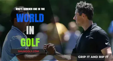Golf's Top Contender: Who Reigns Supreme on the World Stage?