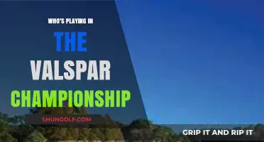 Valspar Championship 2023: Meet the Top Golfers Competing This Year