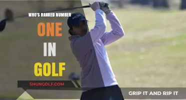 Who's the Current Top-Ranked Golfer in the World?