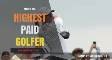 Top Earner on the Green: Who's Golf's Highest-Paid Player?