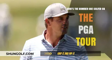 Ranking the PGA Tour's Top Golfer: Who Leads the Pack?