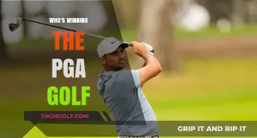PGA Golf Leaderboard: Who's Dominating the Greens This Season?