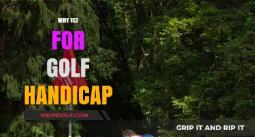 Understanding the Significance of 113 in Golf Handicap Calculations
