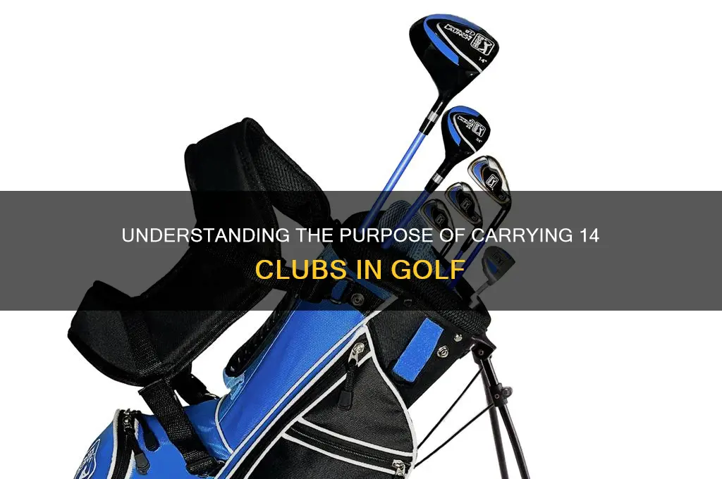 why 14 clubs in golf