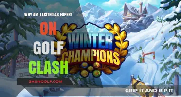 Why I'm Recognized as a Golf Clash Expert: My Journey
