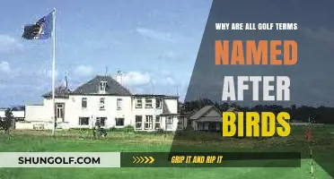 Birdie to Eagle: The Avian Origins of Golf's Unique Terminology