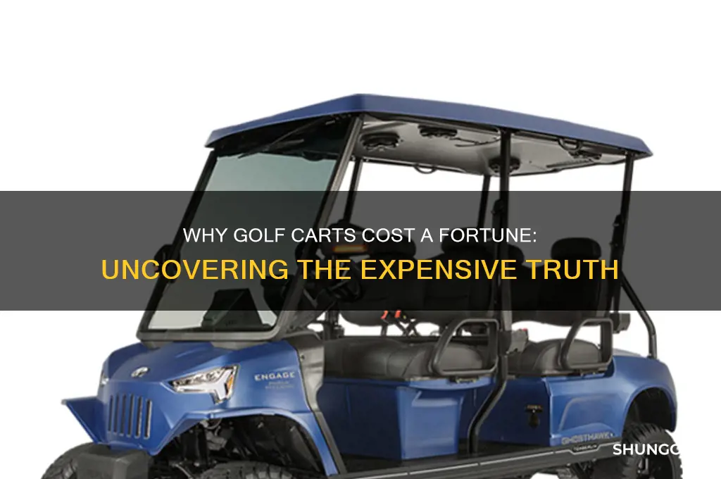 why are golf cars so expensive