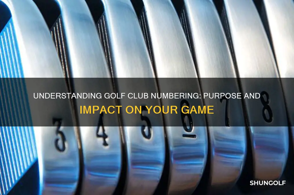 why are golf clubs numbered