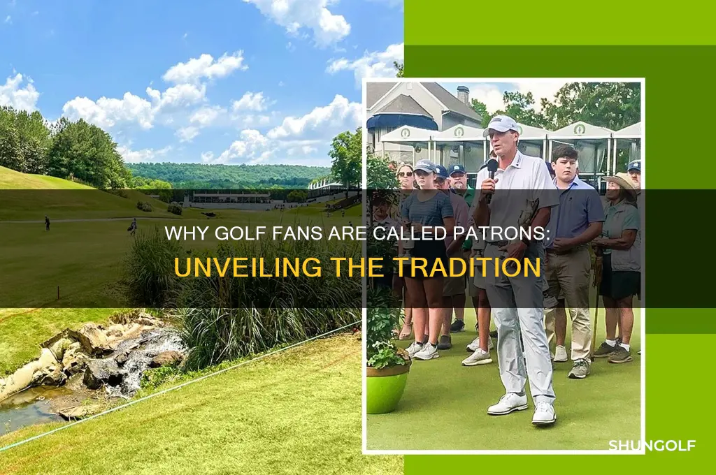 why are golf fans called patrons