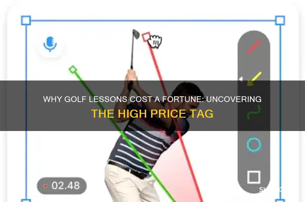 why are golf lessons so expensive
