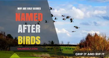 Birdie to Eagle: The Avian Origins of Golf Scoring Terms