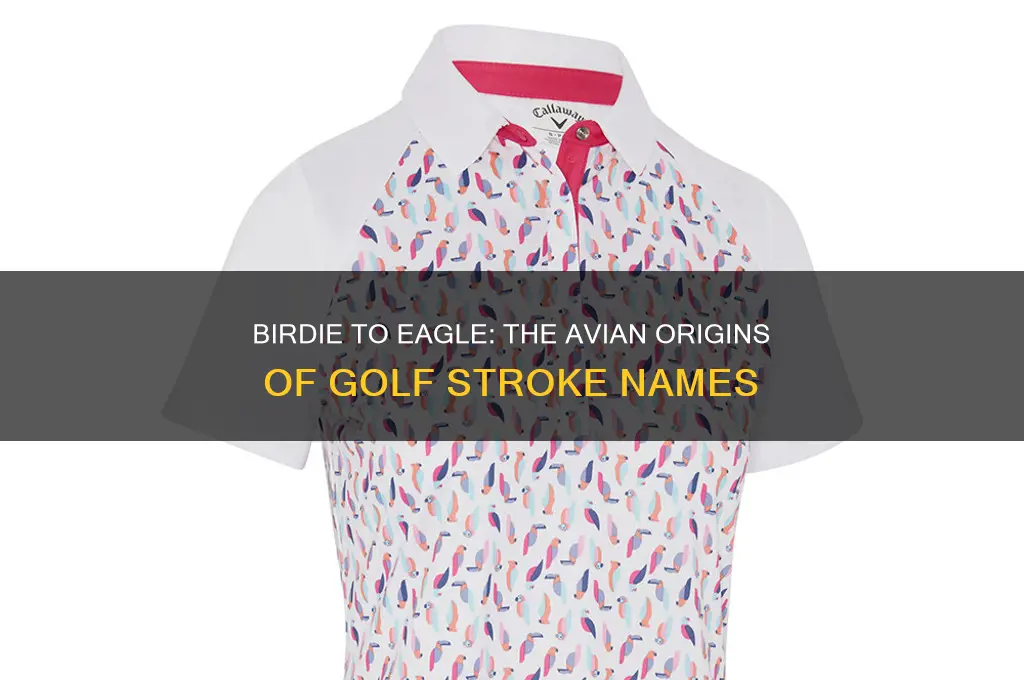 why are golf strokes named after birds