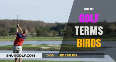 Why Golf Terms Like Birdie and Eagle Are Named After Birds