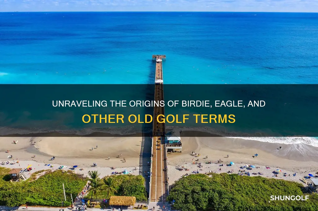 why are old golf terms birds