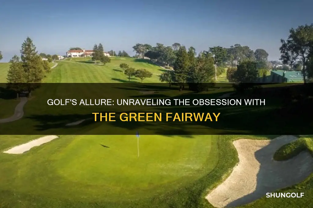 why are people obsessed with golf