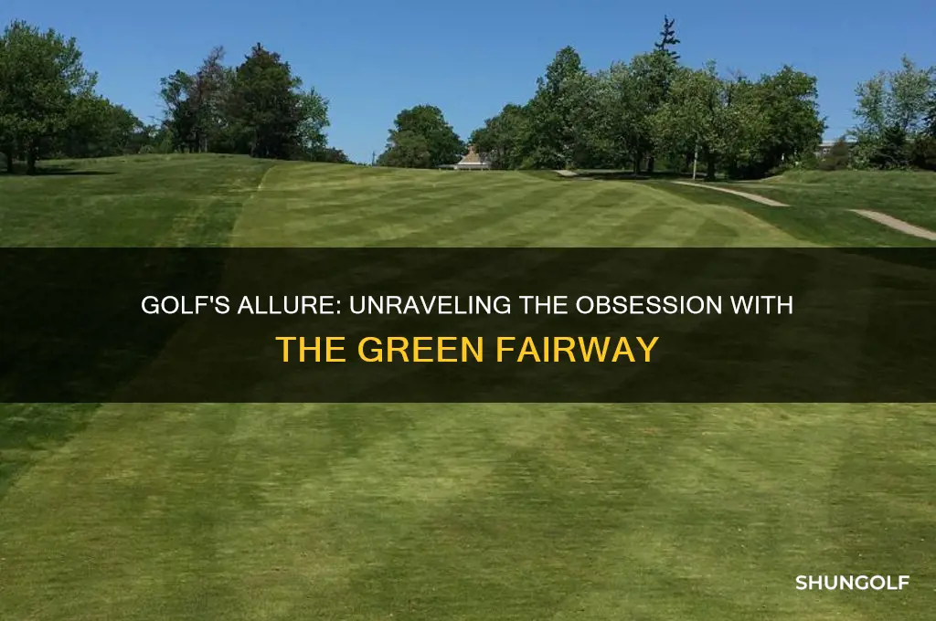 why are people so obsessed with golf