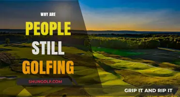 Why Golf Endures: The Timeless Appeal of the Green